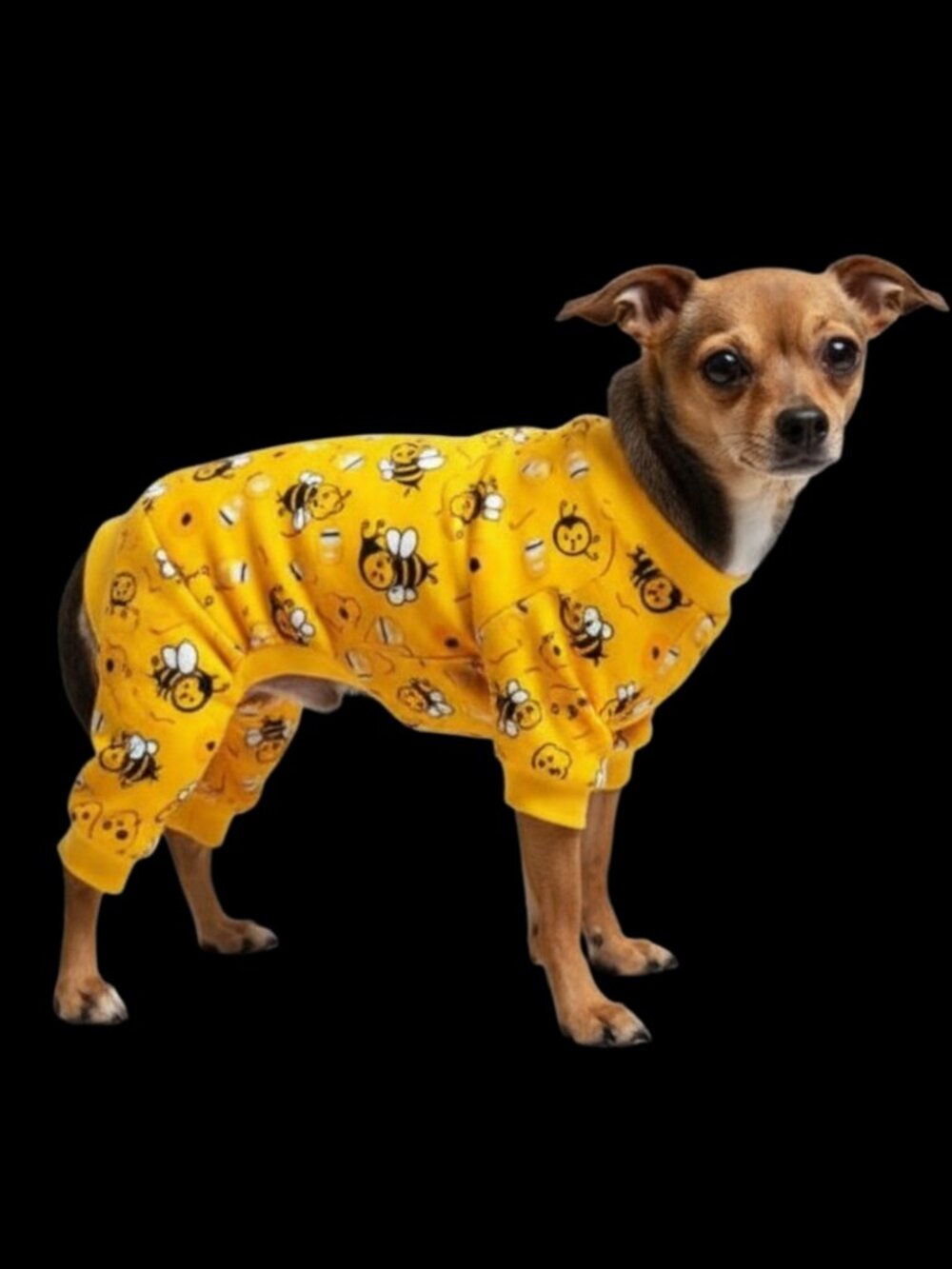 Adorable Black & Yellow Medium Sized Bumble Bee Dog Pajamas